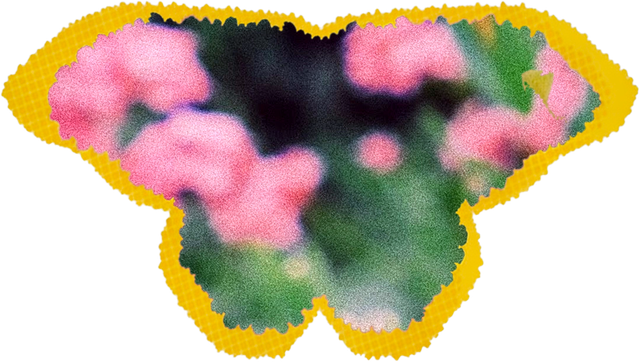 Becomee's halftone-outlined blossom artwork, cut to a wing